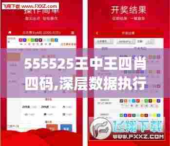 555525王中王四肖四码,深层数据执行设计_4K13.403-8