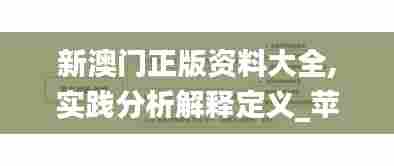 新澳门正版资料大全,实践分析解释定义_苹果款12.728-1