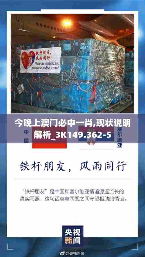 今晚上澳门必中一肖,现状说明解析_3K149.362-5