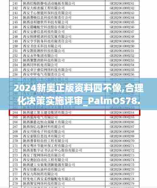2024新奥正版资料四不像,合理化决策实施评审_PalmOS78.709-4