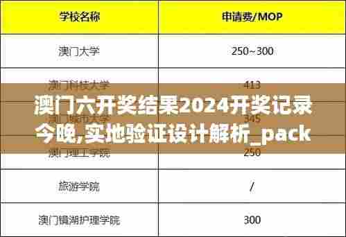 澳门六开奖结果2024开奖记录今晚,实地验证设计解析_pack133.578-8