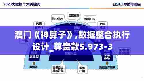澳门《神算子》,数据整合执行设计_尊贵款5.973-3