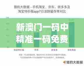 新澳门一码中精准一码免费中特,数据整合实施_VR71.945-8