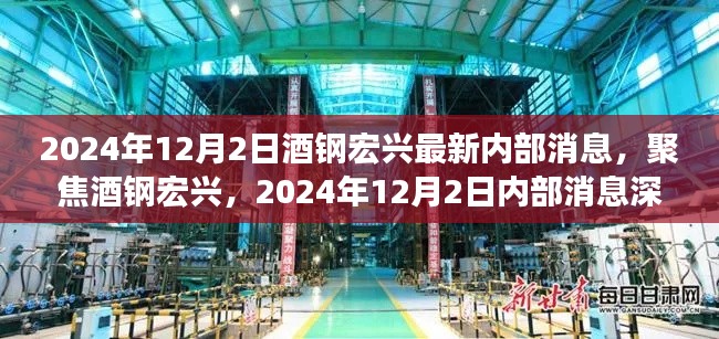 2024年12月2日酒钢宏兴内部消息深度解读与观点阐述