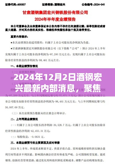 2024年12月2日酒钢宏兴内部消息深度解读与观点阐述