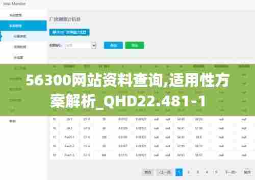 56300网站资料查询,适用性方案解析_QHD22.481-1