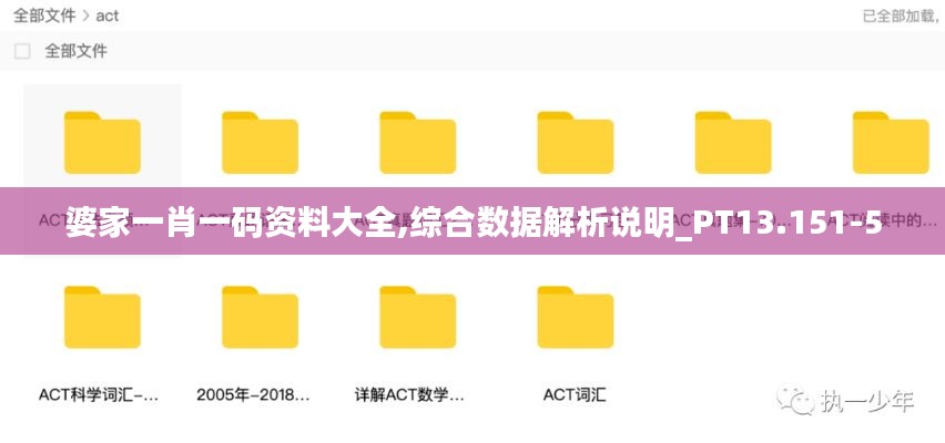 婆家一肖一码资料大全,综合数据解析说明_PT13.151-5