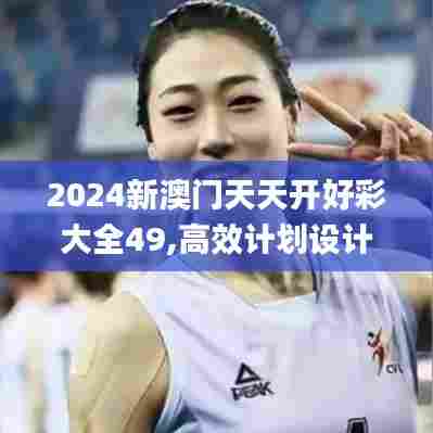 2024新澳门天天开好彩大全49,高效计划设计实施_V27.167-3