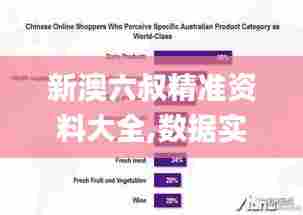 新澳六叔精准资料大全,数据实施整合方案_扩展版90.441-1