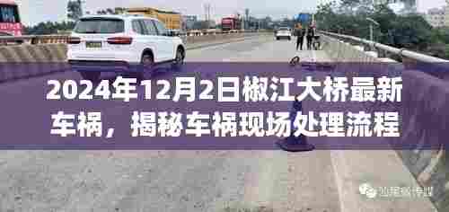 杳无音讯 第5页