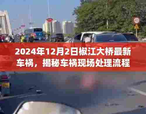 揭秘椒江大桥车祸现场处理流程,应对突发车祸事件的指南(2024年最新案例)