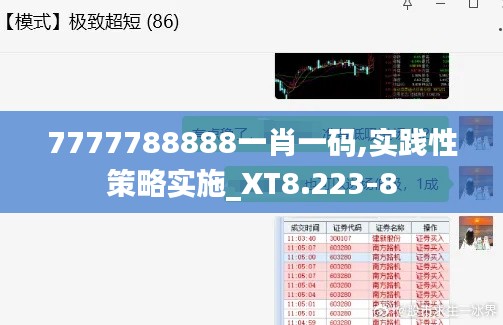 7777788888一肖一码,实践性策略实施_XT8.223-8