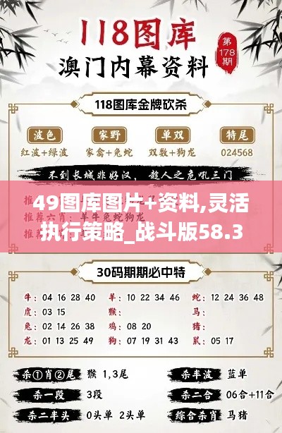 49图库图片+资料,灵活执行策略_战斗版58.355-1