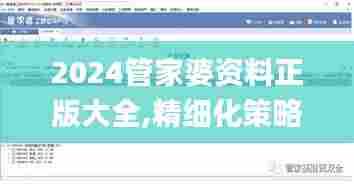 2024管家婆资料正版大全,精细化策略定义探讨_pack193.590-5
