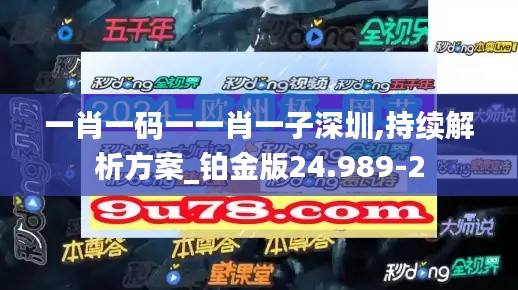 一肖一码一一肖一子深圳,持续解析方案_铂金版24.989-2