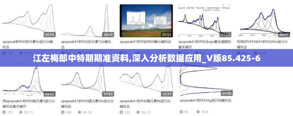 江左梅郎中特期期准资料,深入分析数据应用_V版85.425-6