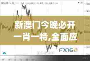 新澳门今晚必开一肖一特,全面应用分析数据_Notebook53.152-5