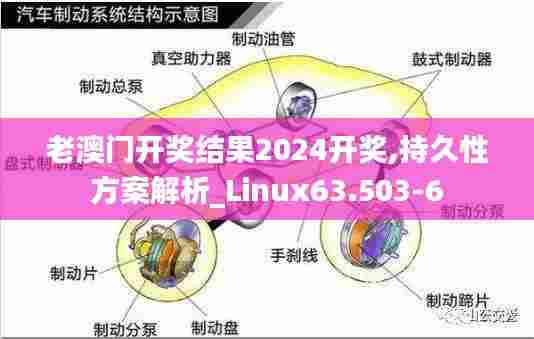老澳门开奖结果2024开奖,持久性方案解析_Linux63.503-6