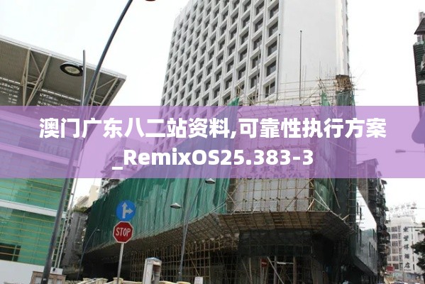 澳门广东八二站资料,可靠性执行方案_RemixOS25.383-3