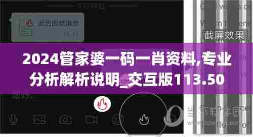 2024管家婆一码一肖资料,专业分析解析说明_交互版113.507-2