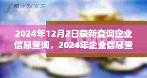 揭秘企业信息查询新篇章,背景、事件与影响(2024年最新进展)