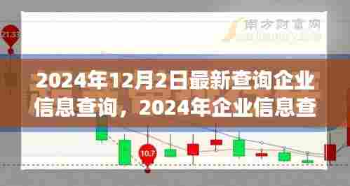 揭秘企业信息查询新篇章，背景、事件与影响（2024年最新进展）