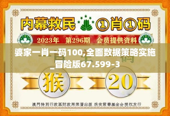 婆家一肖一码100,全面数据策略实施_冒险版67.599-3