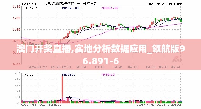 澳门开奖直播,实地分析数据应用_领航版96.891-6