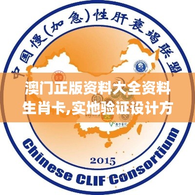澳门正版资料大全资料生肖卡,实地验证设计方案_pro40.842-3