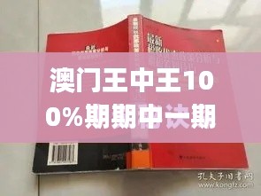 澳门王中王100%期期中一期,最佳选择解析说明_SP98.733-2