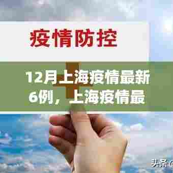 上海新增确诊病例深度解析,最新疫情动态与背后因素探讨