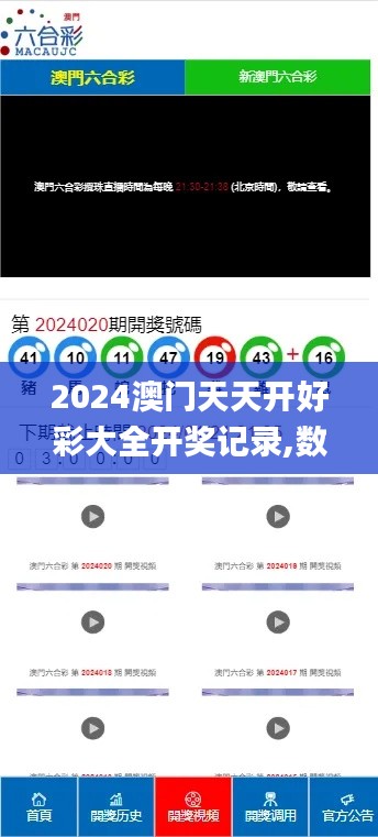 2024澳门天天开好彩大全开奖记录,数据分析驱动解析_WP14.382-7