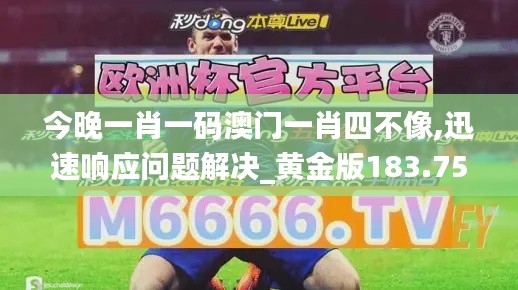 今晚一肖一码澳门一肖四不像,迅速响应问题解决_黄金版183.754-2