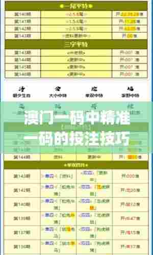 澳门一码中精准一码的投注技巧分享,预测说明解析_Lite52.633-4