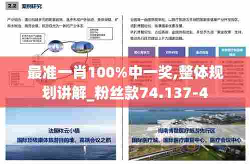 最准一肖100%中一奖,整体规划讲解_粉丝款74.137-4