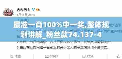 最准一肖100%中一奖,整体规划讲解_粉丝款74.137-4