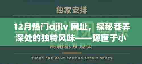 探秘十二月热门CIJILV网址，巷弄深处的独特风味小店