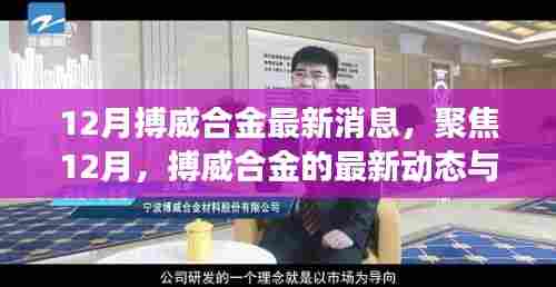 12月搏威合金最新动态与进展聚焦