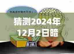 2024年12月2日扫黄暗访行动预测与探讨,扫黄行动展望