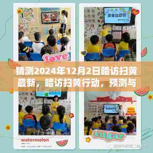 2024年12月2日扫黄暗访行动预测与探讨,扫黄行动展望