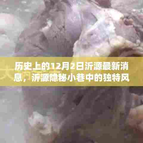 沂源隐秘小巷的独特风味,历史与美食交融的12月最新消息