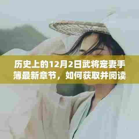 历史上的12月2日武将宠妻手簿最新章节获取与阅读指南