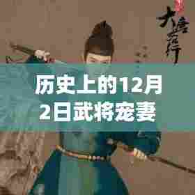 历史上的12月2日武将宠妻手簿最新章节获取与阅读指南
