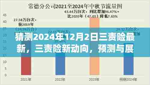 三责险未来动向预测与展望,2024年最新趋势分析(时间戳,12月2日)
