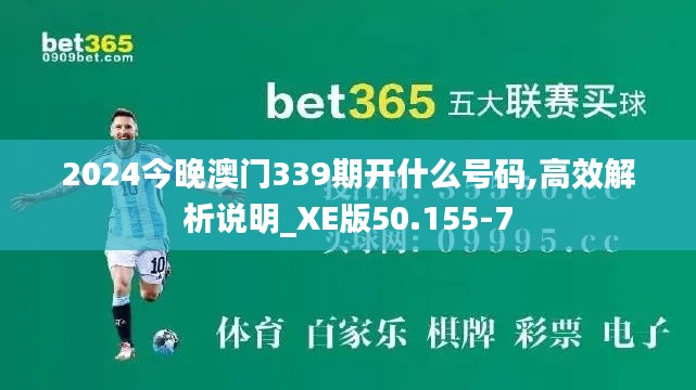 2024今晚澳门339期开什么号码,高效解析说明_XE版50.155-7