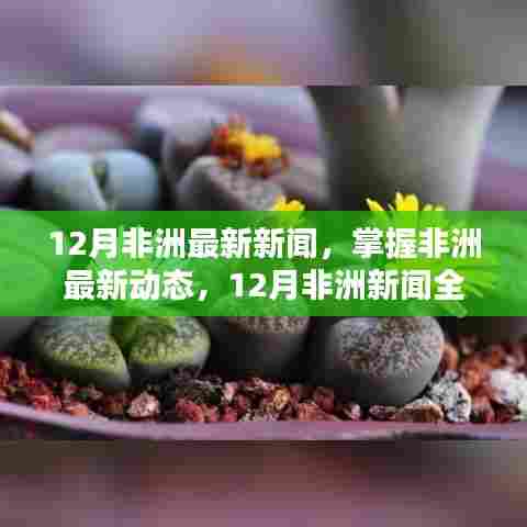 12月非洲新闻全攻略，掌握非洲最新动态，初学者与进阶用户的必备指南