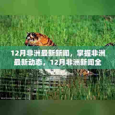 12月非洲新闻全攻略,掌握非洲最新动态,初学者与进阶用户的必备指南
