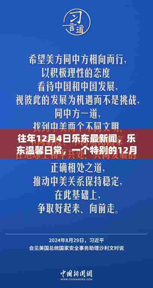 乐东温馨日常，特别的12月4日趣事时光回顾