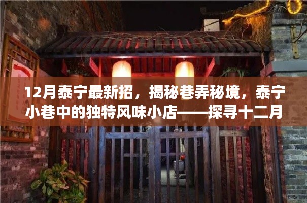 揭秘泰宁小巷秘境,十二月最新魅力招探之旅的小店风情