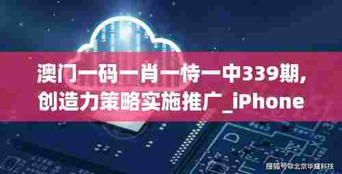 澳门一码一肖一恃一中339期,创造力策略实施推广_iPhone27.880-7